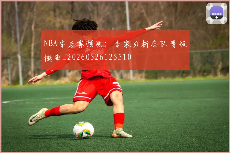NBA季后赛预测：专家分析各队晋级概率_20260526125510
