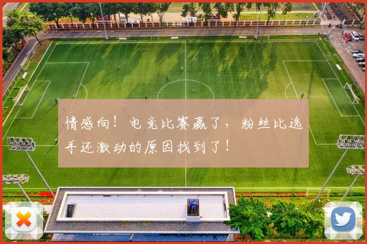情感向！电竞比赛赢了，粉丝比选手还激动的原因找到了！