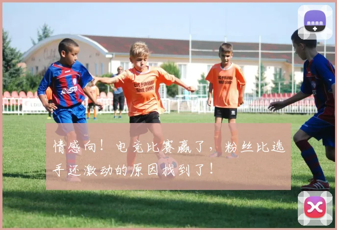 情感向！电竞比赛赢了，粉丝比选手还激动的原因找到了！