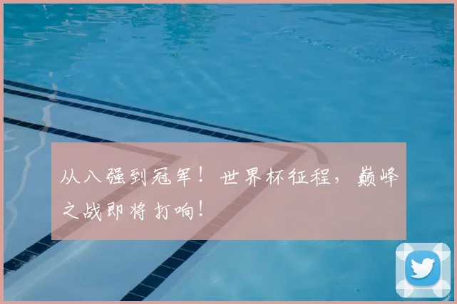 从八强到冠军！世界杯征程，巅峰之战即将打响！