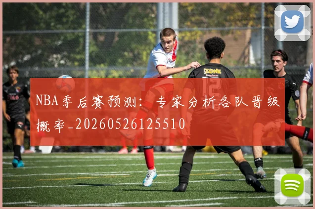 NBA季后赛预测:专家分析各队晋级概率_20260526125510