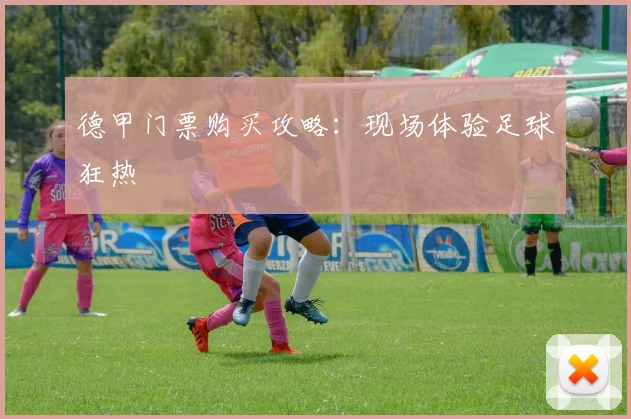 德甲门票购买攻略：现场体验足球狂热
