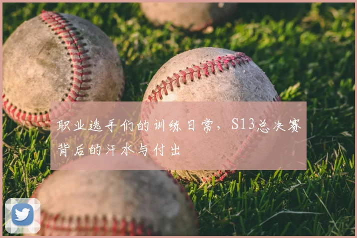 职业选手们的训练日常，S13总决赛背后的汗水与付出